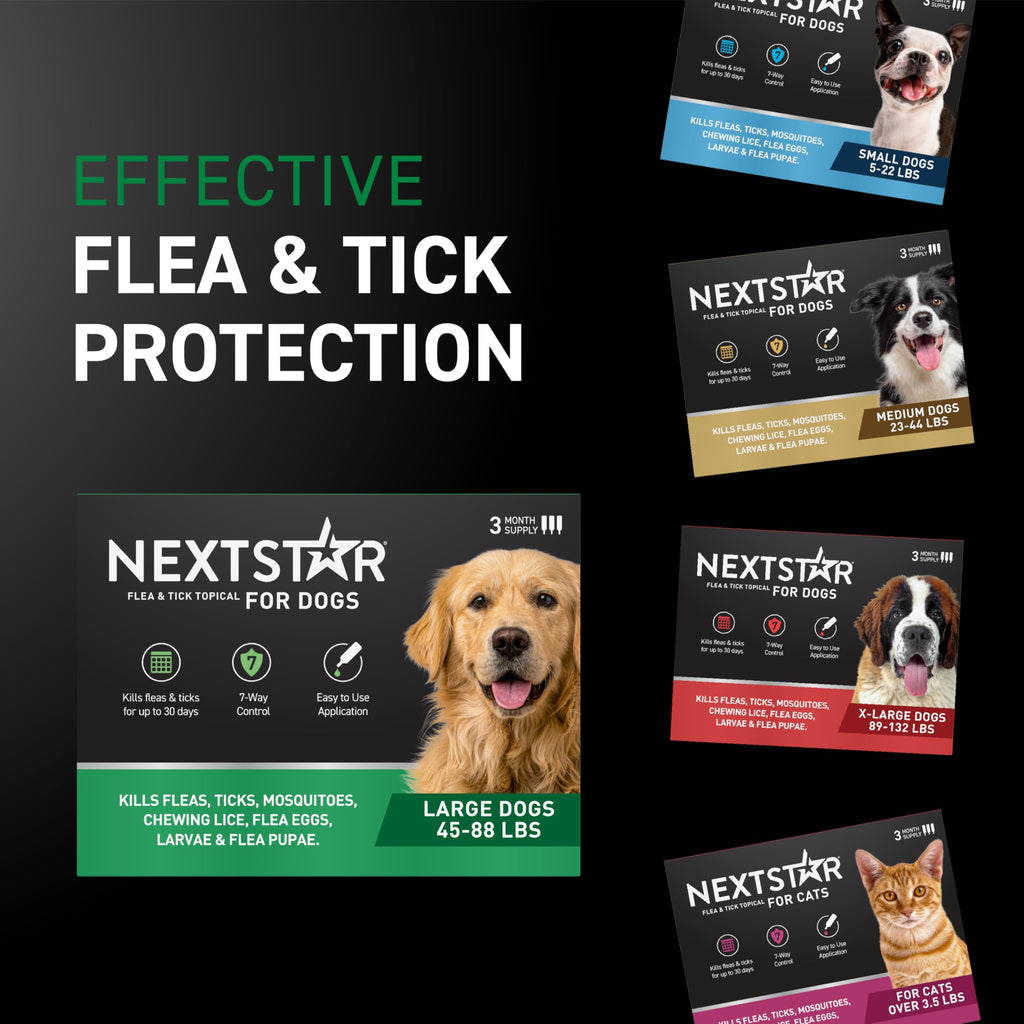 Flea & Tick Topical Dogs Large 1-Month E4477