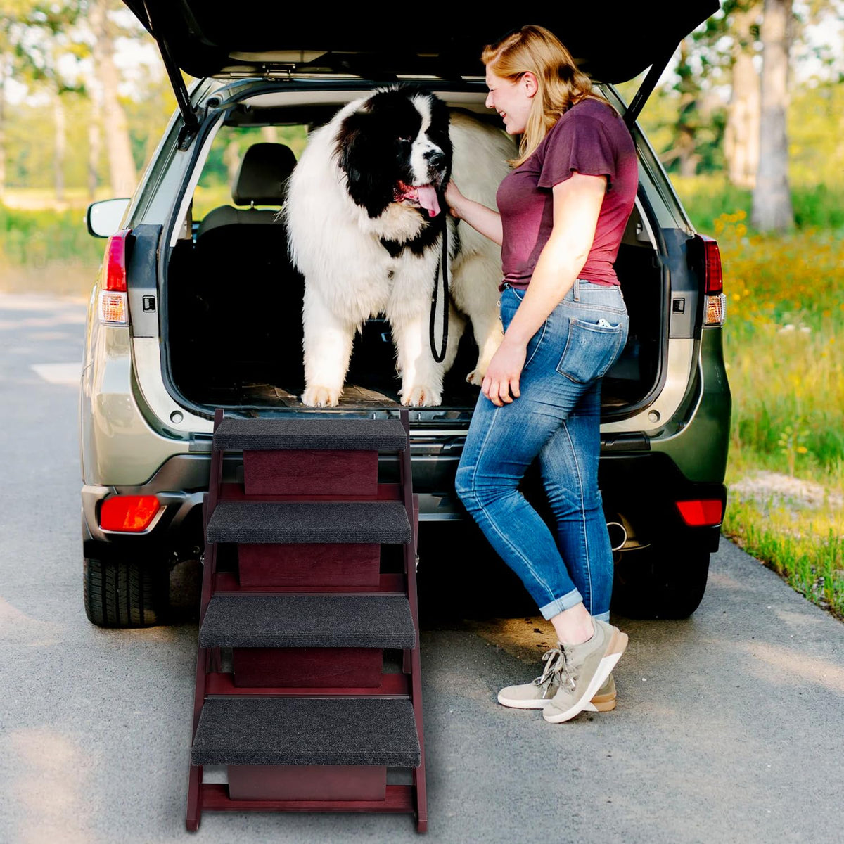 Foldable 4 Steps Wooden Dog Stairs R858