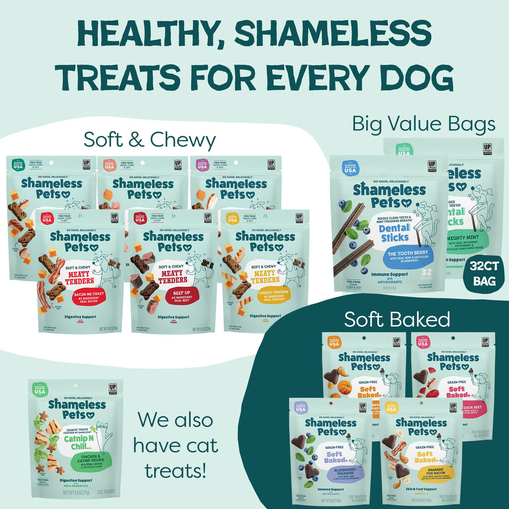 Mighty Mint Dental Chews for Dogs 18ct D704992