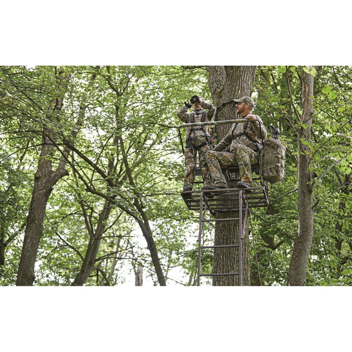 17' 2-Man Ladder Tree Stand V366279