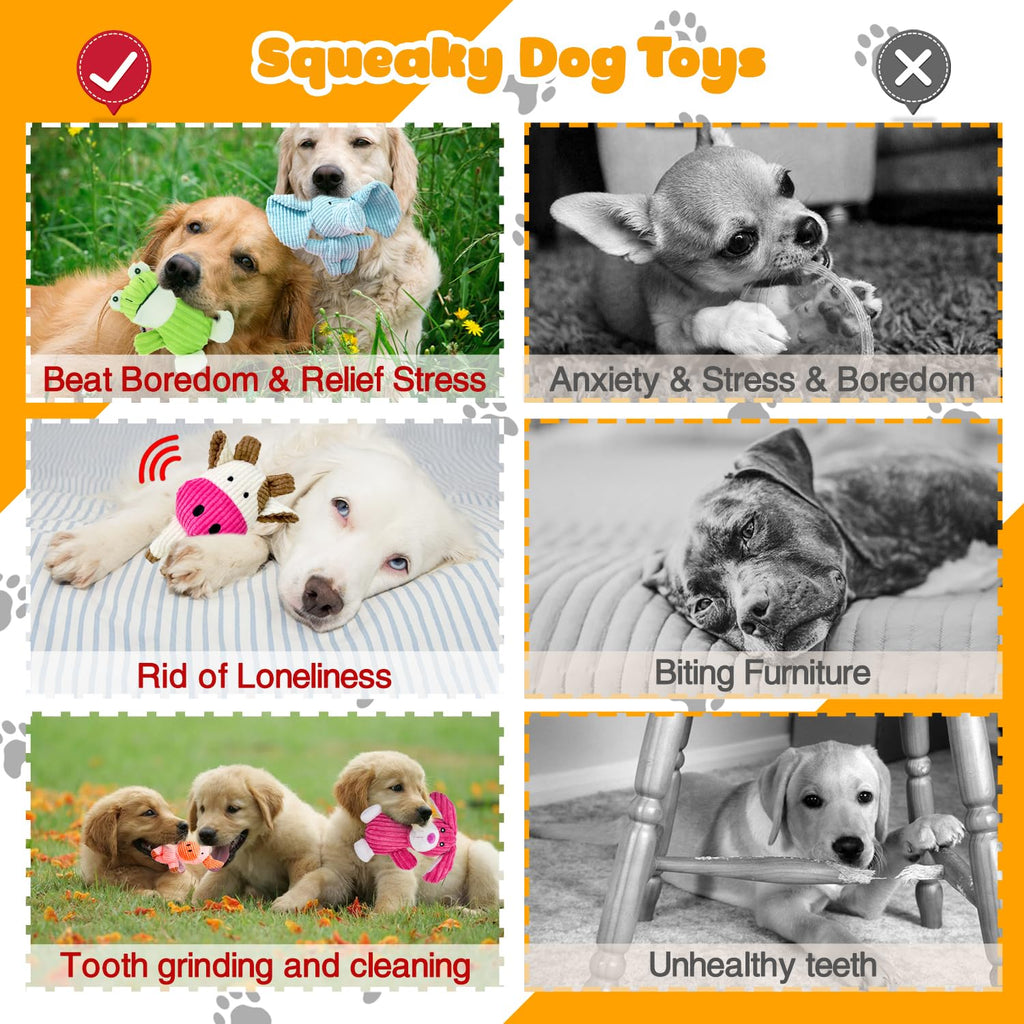 Dog Squeak Toys N706